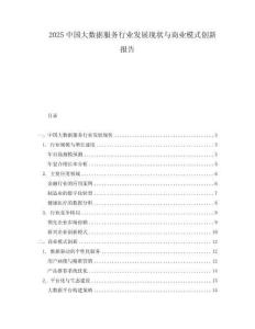 2025中國大數據服務行業發展現狀與商業模式創新報告