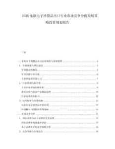 2025東歐電子消費品出口行業市場競爭分析發展策略投資規劃報告