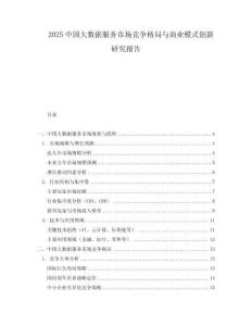2025中國大數據服務市場競爭格局與商業模式創新研究報告