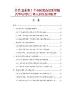 2025及未來(lái)5年中國(guó)黑白顯像管玻殼市場(chǎng)現(xiàn)狀分析及前景預(yù)測(cè)報(bào)告