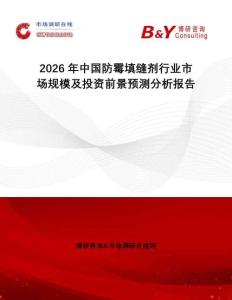 2026年中國防霉填縫劑行業(yè)市場規(guī)模及投資前景預(yù)測分析報告