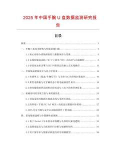 2025年中國手腕U盤數據監測研究報告