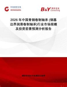 2026年中國青銅卷制軸承 (銅基邊界潤滑卷制軸承)行業(yè)市場規(guī)模及投資前景預(yù)測分析報(bào)告