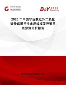 2026年中國非色散紅外二氧化碳傳感器行業市場規模及投資前景預測分析報告