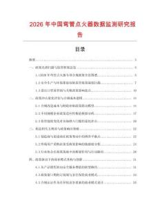 2026年中國彎管點火器數據監測研究報告
