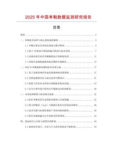 2025年中國(guó)單靴數(shù)據(jù)監(jiān)測(cè)研究報(bào)告