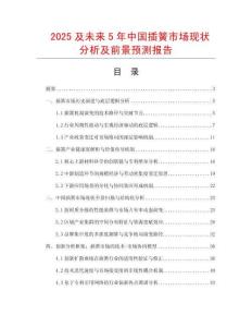 2025及未來5年中國插簧市場現狀分析及前景預測報告