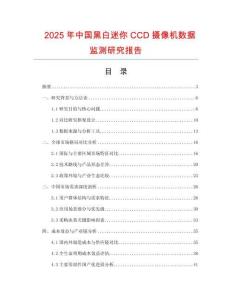 2025年中國黑白迷你CCD攝像機數據監測研究報告