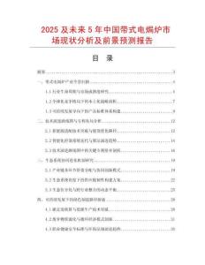 2025及未來5年中國帶式電焗爐市場現狀分析及前景預測報告