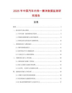 2025年中國汽車內飾一擦凈數據監測研究報告