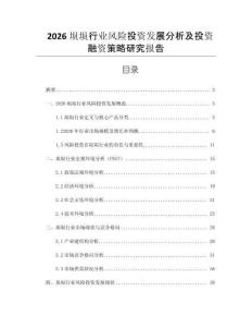 2026塤塤行業風險投資發展分析及投資融資策略研究報告