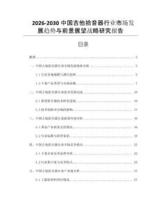2026-2030中國吉他拾音器行業市場發展趨勢與前景展望戰略研究報告