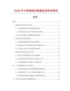 2026年中國海綿掃數據監測研究報告