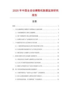 2025年中国全自动擦鞋机数据监测研究报告