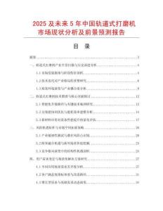 2025及未來5年中國軌道式打磨機(jī)市場現(xiàn)狀分析及前景預(yù)測報(bào)告