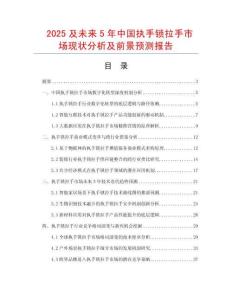 2025及未來5年中國執手鎖拉手市場現狀分析及前景預測報告