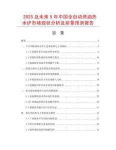 2025及未來5年中國全自動燃油熱水爐市場現狀分析及前景預測報告