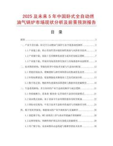 2025及未來5年中國臥式全自動燃油氣鍋爐市場現狀分析及前景預測報告