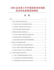 2025及未來5年中國弧形塊市場現狀分析及前景預測報告