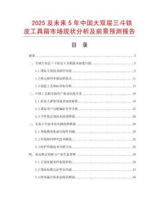 2025及未來5年中國大雙層三斗鐵皮工具箱市場現狀分析及前景預測報告