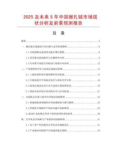 2025及未來5年中國捆扎鏈市場現狀分析及前景預測報告