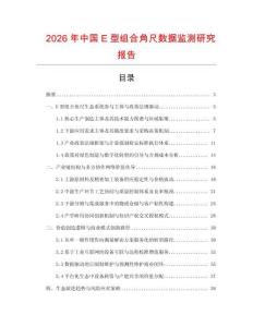 2026年中國E型組合角尺數(shù)據(jù)監(jiān)測(cè)研究報(bào)告
