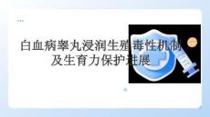 白血病睪丸浸潤生殖毒性機制及生育力保護進展