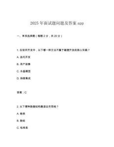 2025年面試題問題及答案app