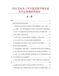 2026及未來5年中國雙層平網(wǎng)手推車行業(yè)發(fā)展研究報告