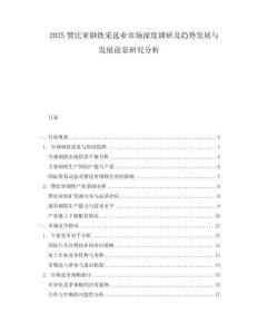 2025贊比亞鋼鐵采選業市場深度調研及趨勢發展與發展前景研究分析
