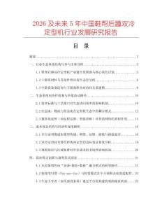 2026及未來5年中國鞋幫后踵雙冷定型機行業發展研究報告