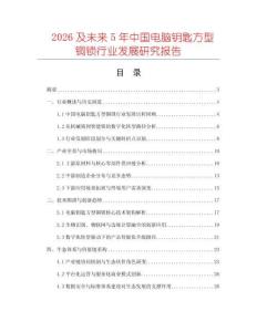 2026及未來5年中國(guó)電腦鑰匙方型銅鎖行業(yè)發(fā)展研究報(bào)告