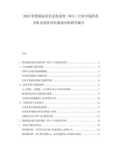 2025智慧制造業信息化系統（MIS）行業市場供需分析及投資評估規劃分析研究報告