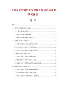 2025年中國鉆夾頭后錐孔鉸刀市場調查研究報告
