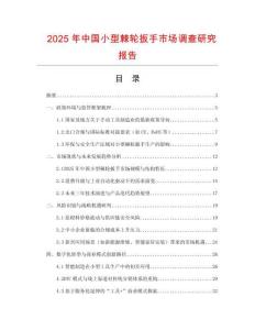 2025年中國小型棘輪扳手市場調查研究報告