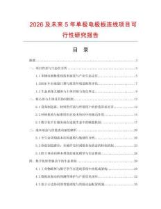 2026及未來5年單極電極板連線項目可行性研究報告