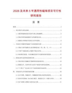 2026及未來5年通用性磁珠項目可行性研究報告