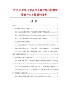 2026及未來5年中國電容式變壓器套管瓷套行業發展研究報告