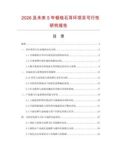 2026及未來5年銀鋯石耳環項目可行性研究報告