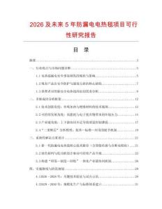 2026及未來5年防漏電電熱毯項目可行性研究報告