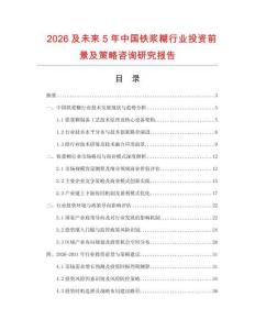 2026及未來5年中國鐵漿糊行業投資前景及策略咨詢研究報告
