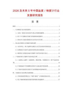 2026及未來5年中國鹽度／鈉度計行業發展研究報告