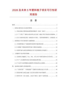 2026及未來5年塑料梳子項目可行性研究報告