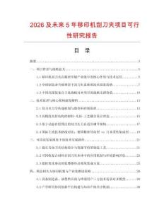 2026及未來5年移印機刮刀夾項目可行性研究報告