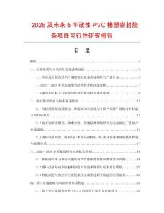 2026及未來5年改性PVC橡塑密封膠條項目可行性研究報告