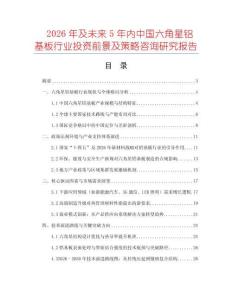 2026年及未來5年內中國六角星鋁基板行業投資前景及策略咨詢研究報告