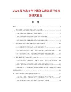2026及未來5年中國彈頭麻花釘行業(yè)發(fā)展研究報告