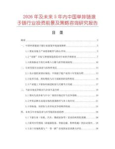 2026年及未來5年內(nèi)中國單排鏈滾子鏈行業(yè)投資前景及策略咨詢研究報告