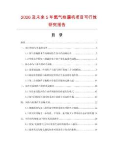 2026及未來5年氦氣檢漏機項目可行性研究報告