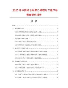 2025年中國給水用聚乙烯鞍形三通市場調查研究報告